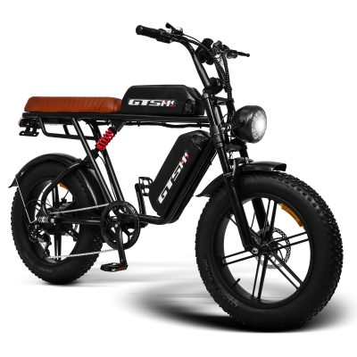 Bicicleta Elétrica 1000w 48v 12AH GTS S2 PRO