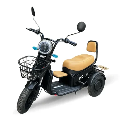 GREEN JOY 600W – Green Motos Elétricas