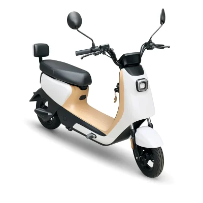 GREEN RULI 1000W – Green Motos Elétricas