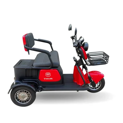 GREEN TRI THOR 600W – Green Motos Elétricas